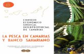 La Pesca en Canarias y Banco Sahariano