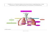 Patrones Respiratorios, Caja Toracica y Mecanica Ventilatoria