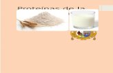 informe bioquimica pan trigo