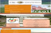 (589103333) PROYECTO-OLMOS (2).pptx