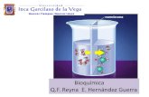 Bioquimica I -Reyna 2clase (1)