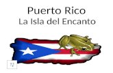 Puerto Rico Para Chile