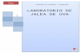 laboratorio de Jaleas