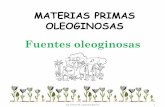 Introduccion Materias Primas Oleoginosas