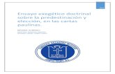 Investigacion Exegetico Predestinacion y Eleccion