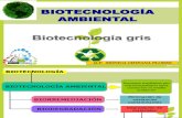 Biotecnolgia Gris