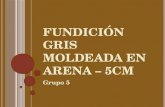 Fundición Gris Moldeada en Arena 5cm