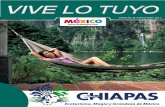Boletin Vive Lo Tuyo Chiapas