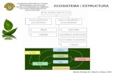 3, 4 Estructura, Flujo m y e Ecología i 1-2013