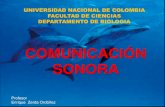Comunicacion Sonora y Produccion de Sonidos