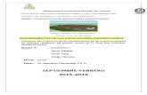 INFORME-REQUERIMIENTOS DE LAS INSTALACIONES AGROPECUARIAS-GRUPO 1.docx