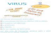 Virus 2014