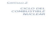 Central Nuclear II para chibolos