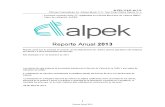 Alpek Reporte Anual 2013