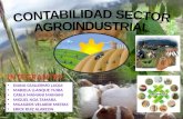 Sector Agroindustrial 1
