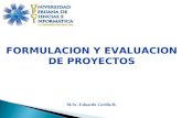 2. FOMULACION Y EVALUACION DE PROYECTO-UPCI.ppt