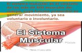 2 Exposicion Sistema Muscular