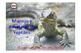 5 Manejo y anestesia reptiles y aves.pdf