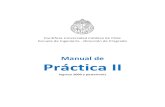 Manual Practica Profesional ING PUC