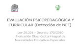 Evaluación Psicopedagógica y Curricular (Detección de Nee)