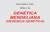 Genética Mendeliana 4ºESO