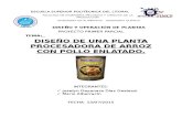 PROYECTO-PLANTAS-ARROZ-CON-POLLO (1).docx