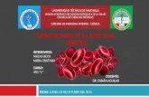 Enfermedades de la Serie Roja: Anemias