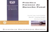 Practica Forense de Derecho Penal Area XI-Ciencias Penales