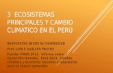 Ecosistemas Princ y Cc en El Perú