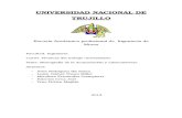 Monografia Acumulacion y Litisconsorcio- Ing MINAS II CICLO