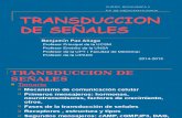 TRANSDUCCIÓN DE SEÑALES-ULTIMA 2015 MEDICINA UCSM.ppt