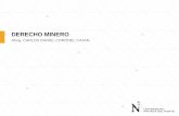 I UNIDAD DERECHO MINERO (II SEMANA).pdf