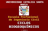 CLASE-4-CICLOS-BIOGEOQUIMICOS (3).ppt