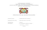 PROYECTO DE INVESTIGACION PRE GRADO CONTABILIDAD00001.doc