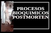 procesos bioquimicos