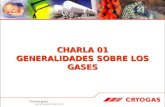 01 Charla Generalidades Sobre Los Gases