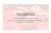 Patologia - trombosis