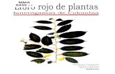 Libro Rojo Plantas de Colombia Vol 01