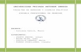 Procedim Registral Peruano
