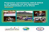 MANUAL. Paquetes Normativos 2013-2015 y su impacto en los derechos fundamentales en el Perú_0.pdf