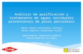 Análisis de Purificación y Tratamiento de Aguas Residuales Presentacion Final