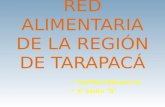 Red Alimentaria de La Región de Tarapacá