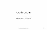 Cap2 Productividad (1)