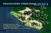 Amazonia Peruana 2021-2009