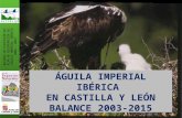 BALANCE DE EJECUCIÓN DEL PLAN DE RECUPERACIÓN DEL ÁGUILA IMPERIAL IBÉRICA 2003 - 2015 ÁGUILA IMPERIAL IBÉRICA EN CASTILLA Y LEÓN BALANCE 2003-2015.