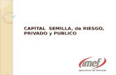 CAPITAL SEMILLA, de RIESGO, PRIVADO y PUBLICO 1. CAPITAL PUBLICO EMPRESA GRANDE CAPITAL PRIVADO EMPRESA MEDIANA CAPITAL DE RIESGO EMPRESA PEQUEÑA CAPITAL