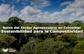 Retos del Sector Agropecuario en Colombia: Sostenibilidad para la Competitividad.