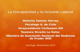 La Discapacidad y la Inclusión Laboral Natacha Salazar Harvey Psicóloga U. de Chile Vicepresidenta Corfausam RM Tesorera Orcodis La Reina Miembro de Asociación.