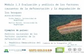 Módulo 1.3: Evaluación y análisis de los factores causantes de la deforestación y la degradación de los bosques Materiales de capacitación sobre REDD+