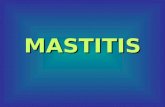 MASTITIS. CONCEPTO de MASTITIS Es toda inflamación de la glándula mamaria, es la enfermedad que más pérdidas produce.